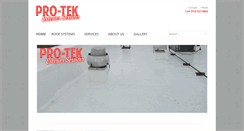 Desktop Screenshot of pro-tekex.com