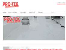 Tablet Screenshot of pro-tekex.com